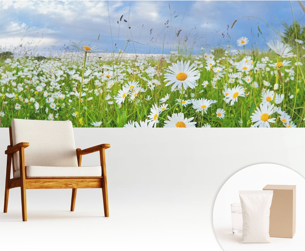 Wallfluent Fotobehang - Wit Vliesbehang - 250x104 cm - Zomerweide Muurschildering - Gang behang Bloemen En Planten - Fotobehang Vlies - Slaapkamer behang