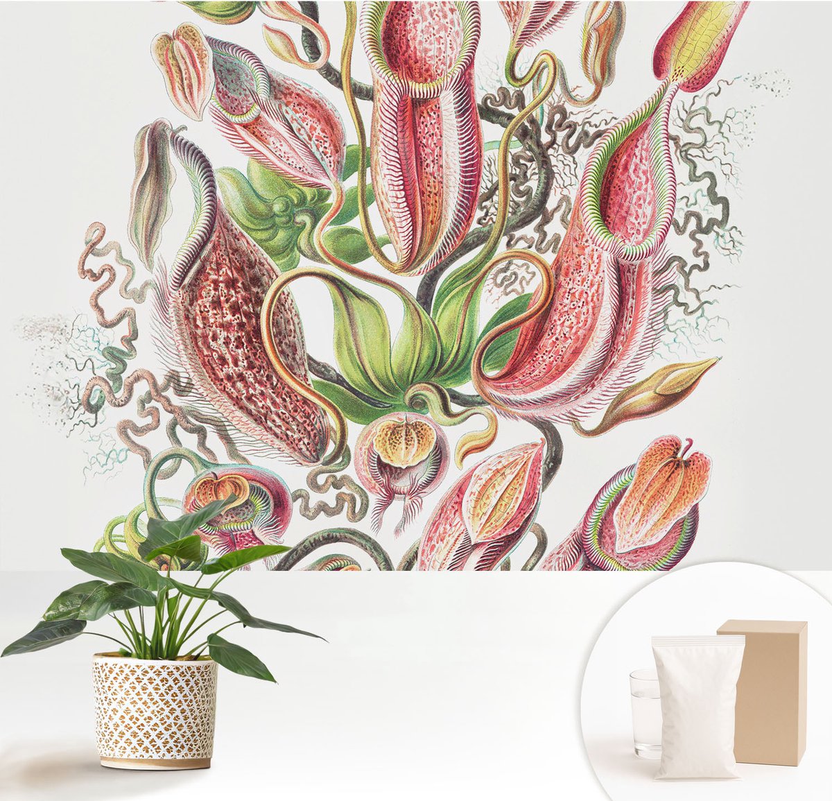 Wallfluent Fotobehang - Groente Vliesbehang - 152x104 cm - Plantdetails Muurschildering - Gang behang Bloemen En Planten - Fotobehang Vlies - Slaapkamer behang