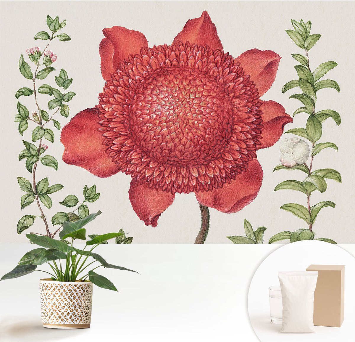 Wallfluent Fotobehang - Rood Vliesbehang - 152x104 cm - Bloemige Elegantie Fotobehang Vlies - Hal behang Bloemen En Planten - Muurschildering - Hal behang