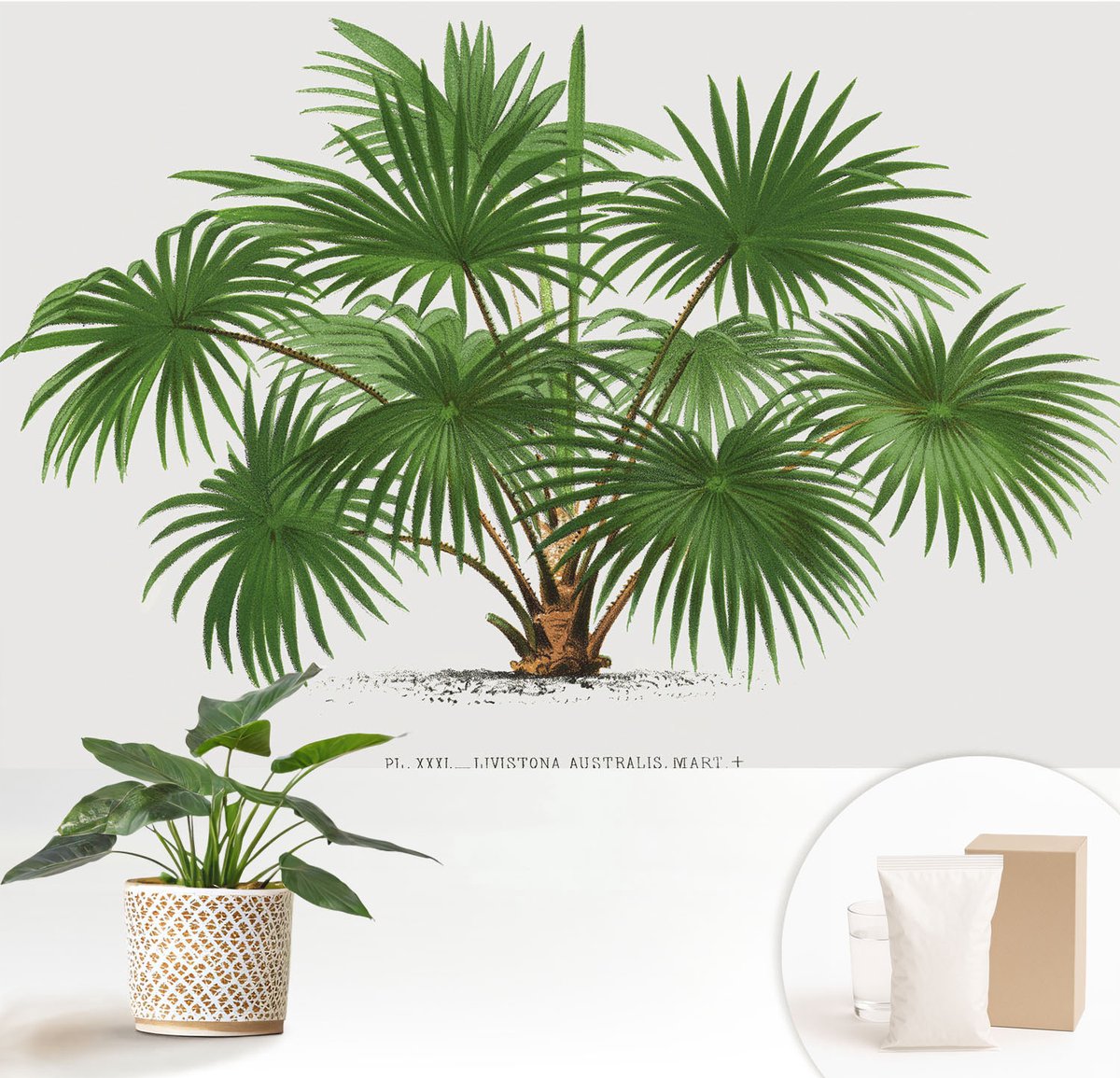 Wallfluent Fotobehang - Groente Vliesbehang - 152x104 cm - Exotisch Patroon Muurschildering - Gang behang Bloemen En Planten - Fotobehang Vlies - Slaapkamer behang