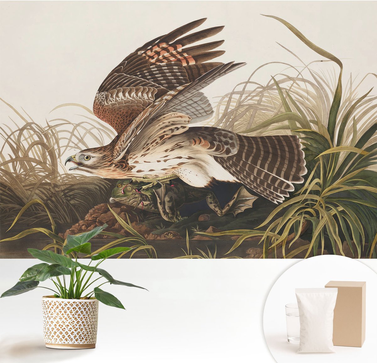 Wallfluent Fotobehang - Grijs Vliesbehang - 152x104 cm - Gevleugelde Schoonheid Fotobehang Vlies - Hal behang Dieren - Muurschildering - Woonkamer behang