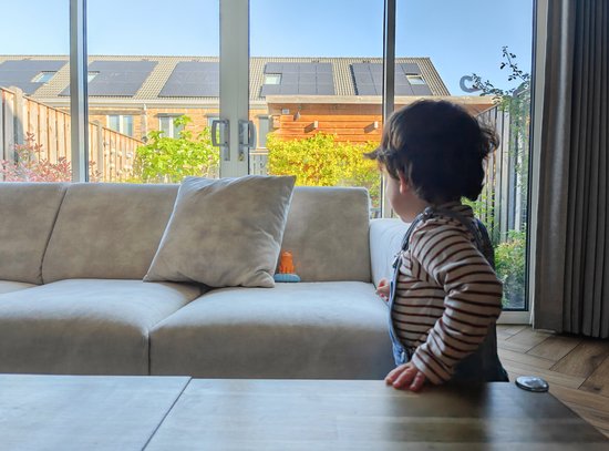 Dikkie Dik Verstoppertje - Baby- en kleuterspelletje - Met sprekende Dikkie Dik van Identity Games — afbeelding 4