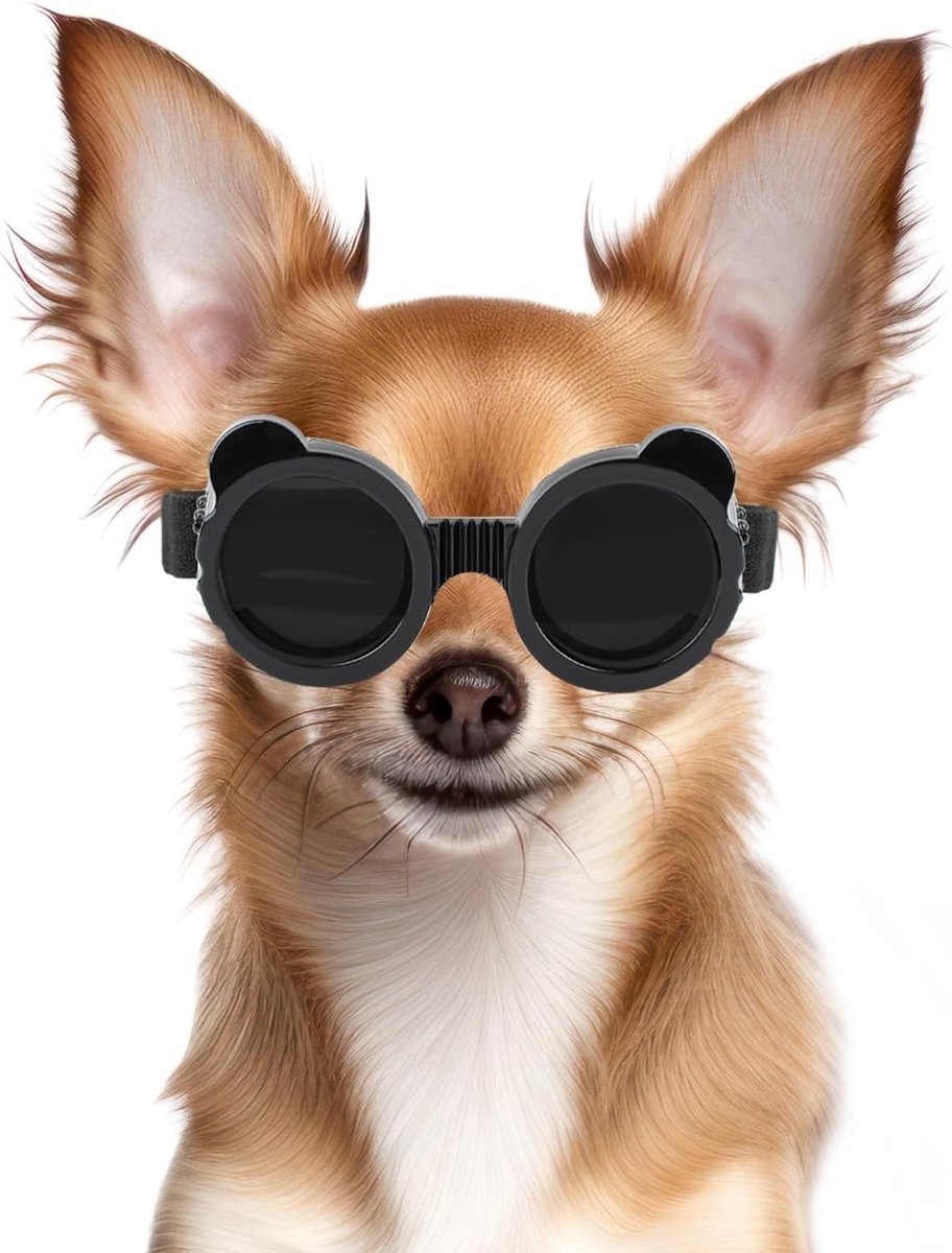 Zonnebril voor Kleine Honden met Ronde Frame - UV-Bescherming, Winddichte Goggles en Veiligheidsbril voor Honden - Zwart