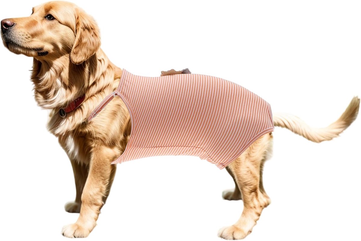 Broek voor honden, wasbaar, herbruikbaar, Picc/Med&G mand