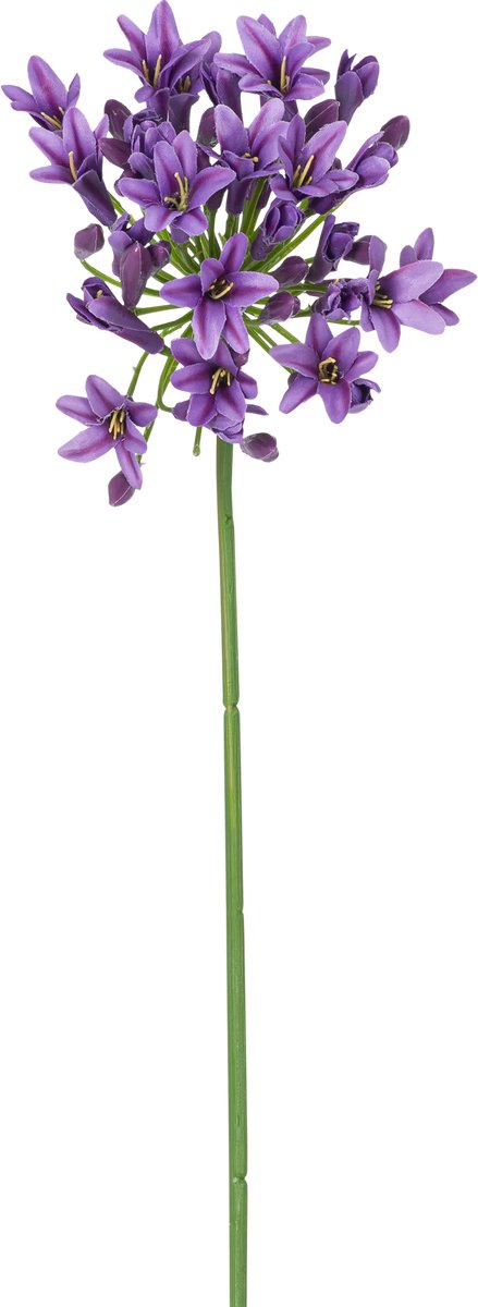 Easyplants | Kunstbloem Agapanthus 77 cm paars | Zijde | Nepbloemen | paars | Onderhoudsvrij | Kant-en-klaar