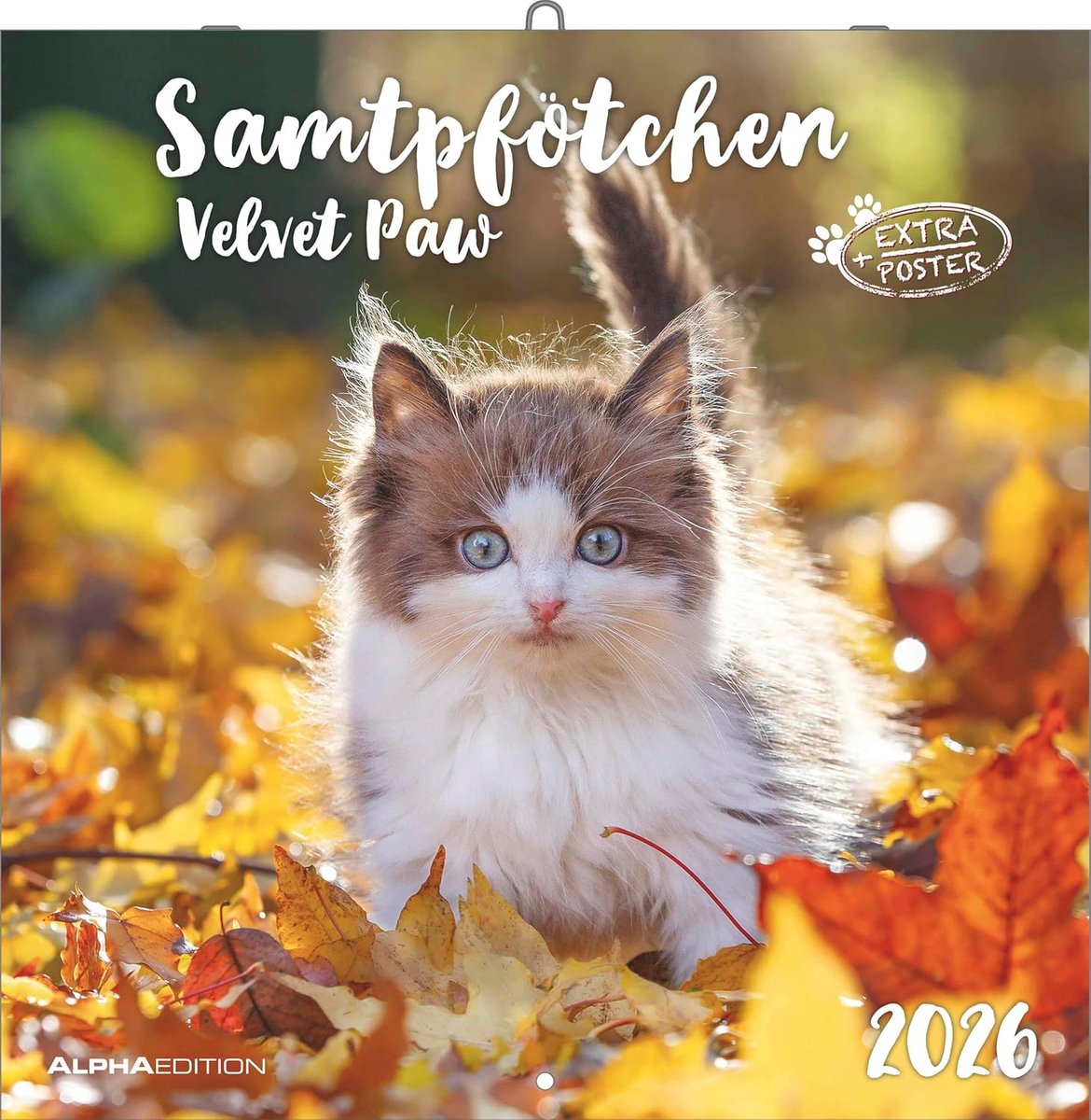 SnelShoppen - Samtpfötchen Wandkalender 2026 - Schattige kattenmotieven - Kalender 30x30 cm (30x60 cm geopend) - Inclusief poster voor kattenliefhebbe