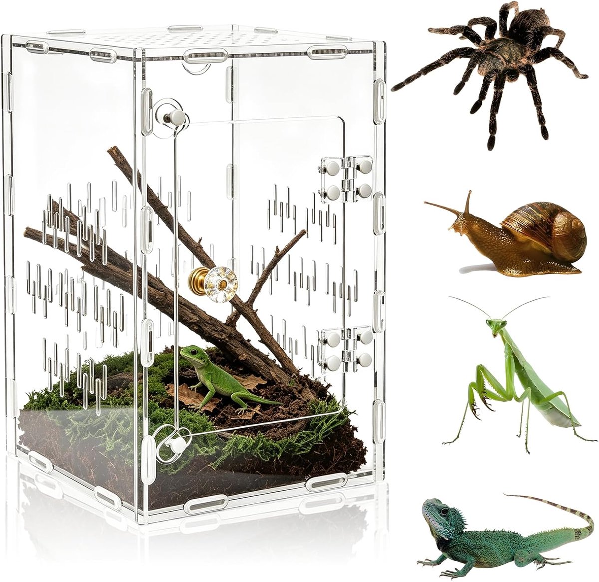15 × 15 × 25 cm voorste opening slakken terrarium: insectenterrarium, acryl stabiele behuizing, 360° rechthoekig vivarium, faunarium voor slakken dwarsventilatie, terrariumcontainer voor