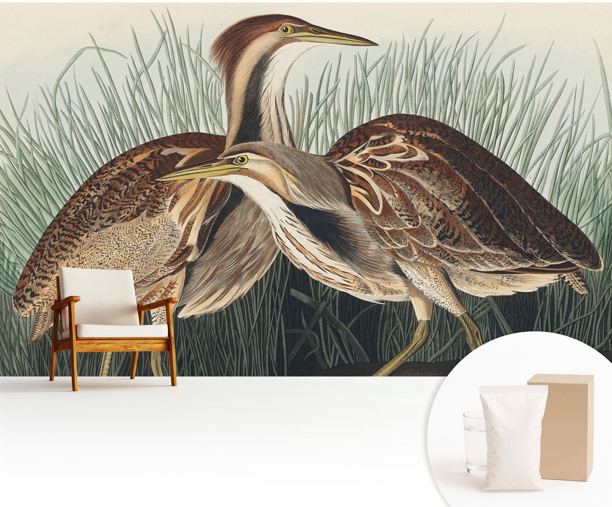 Wallfluent Fotobehang - Bruin Vliesbehang - 416x254 cm - Realistische Vogels Muurschildering - Gang behang Dieren - Fotobehang Vlies - Slaapkamer behang