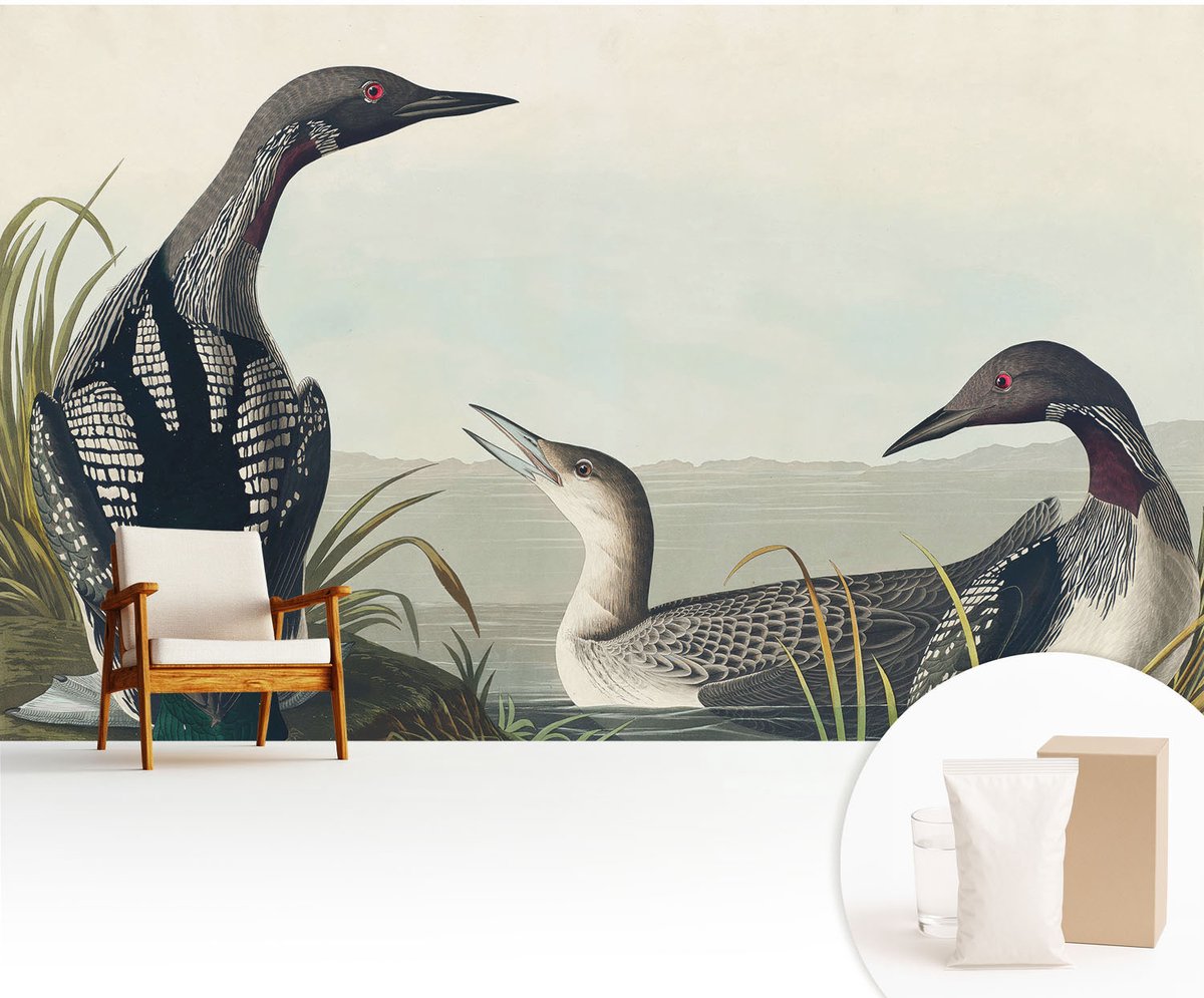 Wallfluent Fotobehang - Zwart Vliesbehang - 416x254 cm - Vogels Boven Het Water Fotobehang Vlies - Hal behang Dieren - Muurschildering - Woonkamer behang