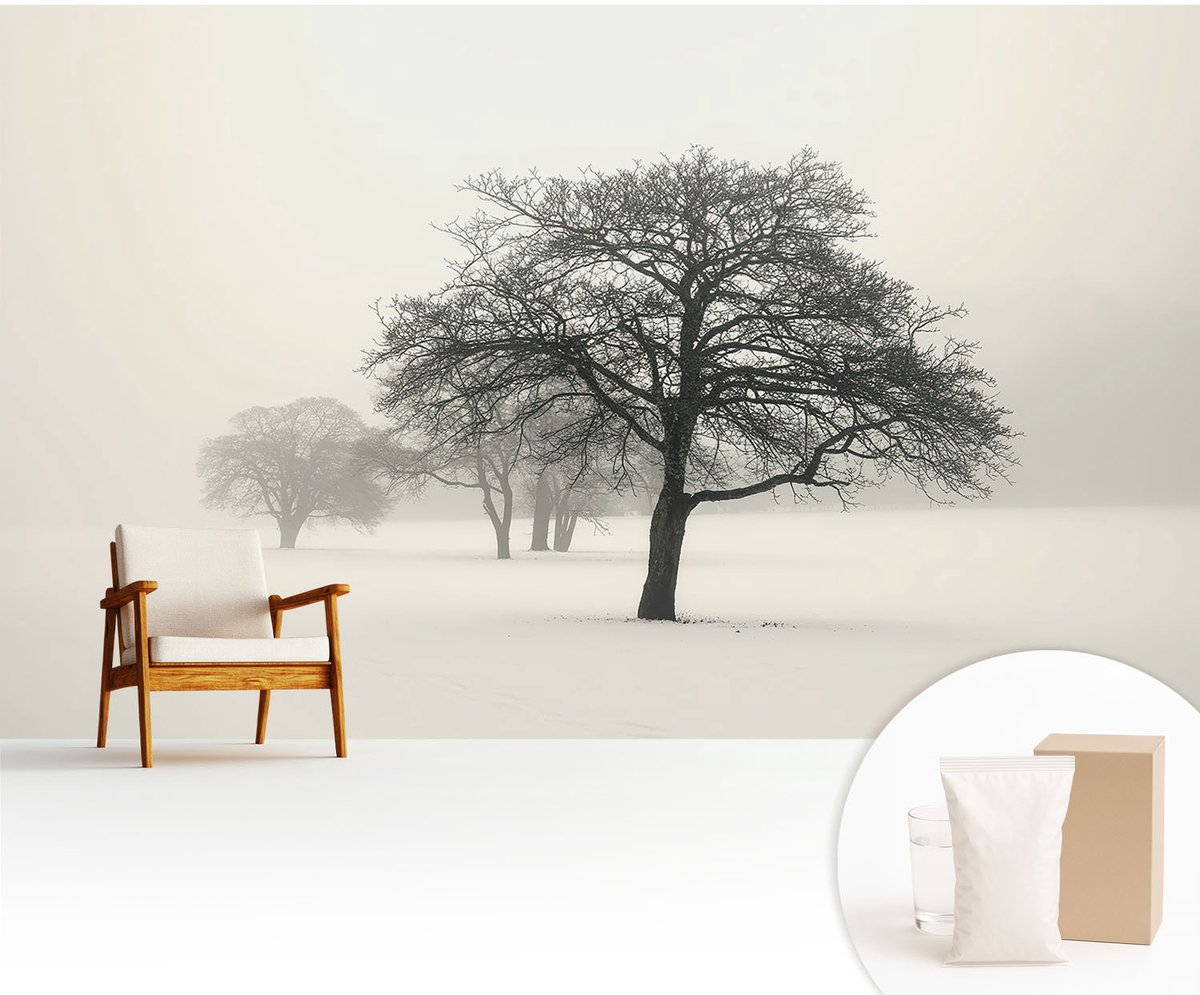 Wallfluent Fotobehang - Wit Vliesbehang - 416x254 cm - Winterbomen Fotobehang Vlies - Hal behang Landschappen - Muurschildering - Woonkamer behang