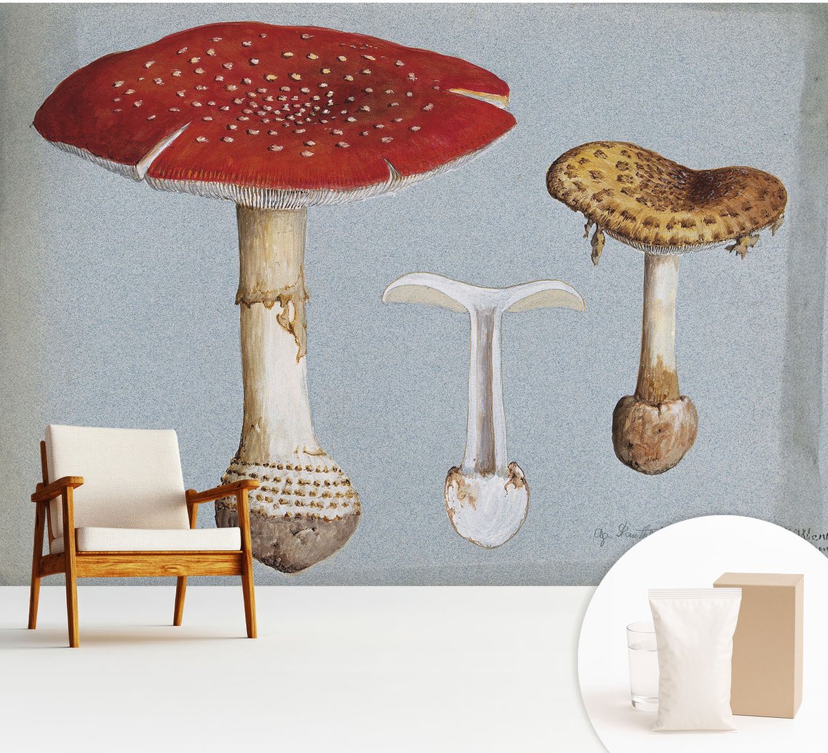 Wallfluent Fotobehang - Grijs Vliesbehang - 312x219 cm - Paddenstoelgravures Fotobehang Vlies - Woonkamer behang Deel - Muurschildering - Woonkamer behang