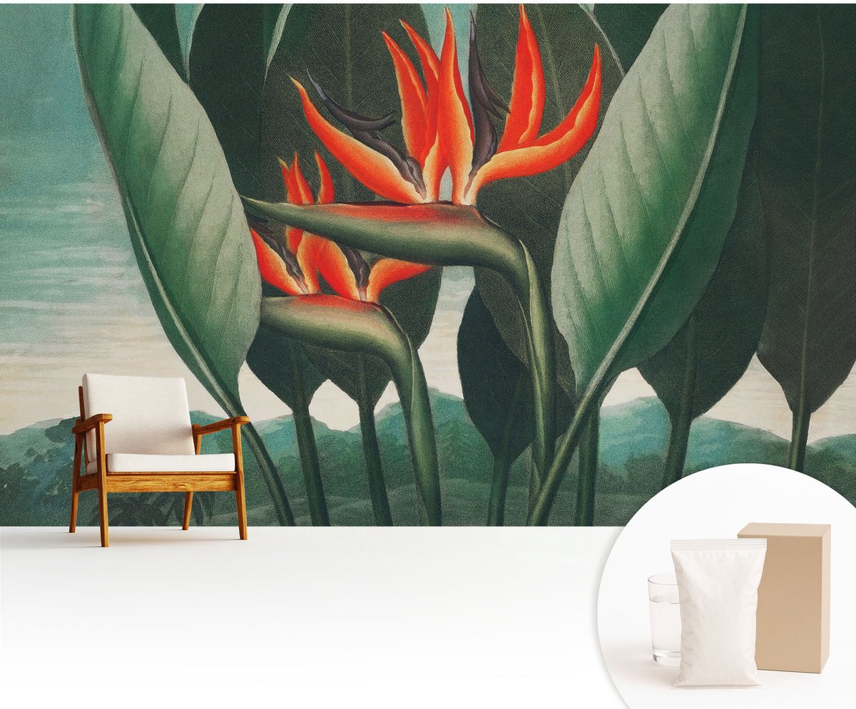 Wallfluent Fotobehang - Groente Vliesbehang - 416x254 cm - Exotische Bloemen Fotobehang Vlies - Hal behang Bloemen En Planten - Muurschildering - Woonkamer behang
