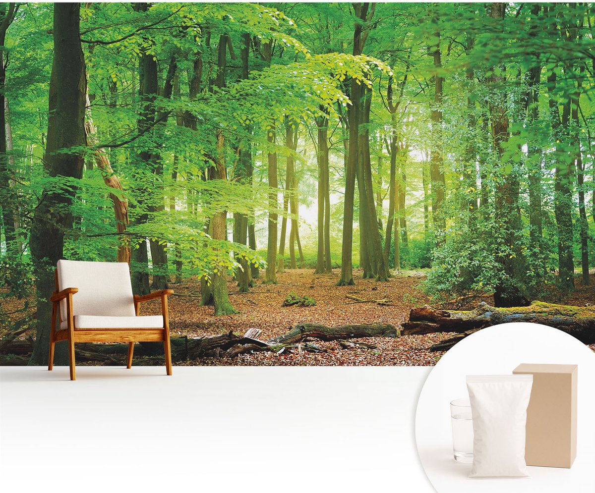 Wallfluent Fotobehang - Groente Vliesbehang - 416x254 cm - Groen Bos Fotobehang Vlies - Hal behang Landschappen - Muurschildering - Woonkamer behang