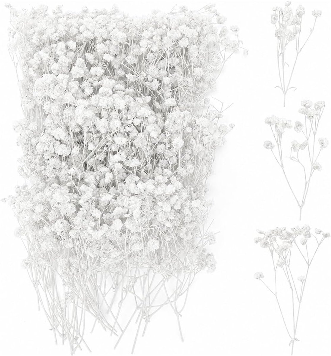 Droge nevel 50 stuks - kleur zuiver wit met witte steel - standaardmaat - ideaal voor bruiloftsdecoraties - ShopVlot