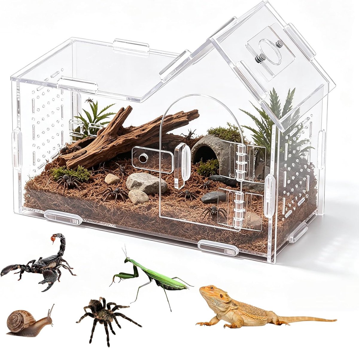 20 × 15 × 10 cm acryl terrarium: transparant acryl springspinnenhok, meervoudig geventileerd met 180° deur, mini-terrarium complete set, magneetsluiting, voor vogelspinnen, gekko's, insecten