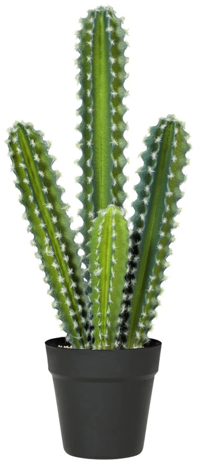ZYLARO Kunstcactus - 53 cm - Inclusief pot - Voor thuis en kantoor Groen
