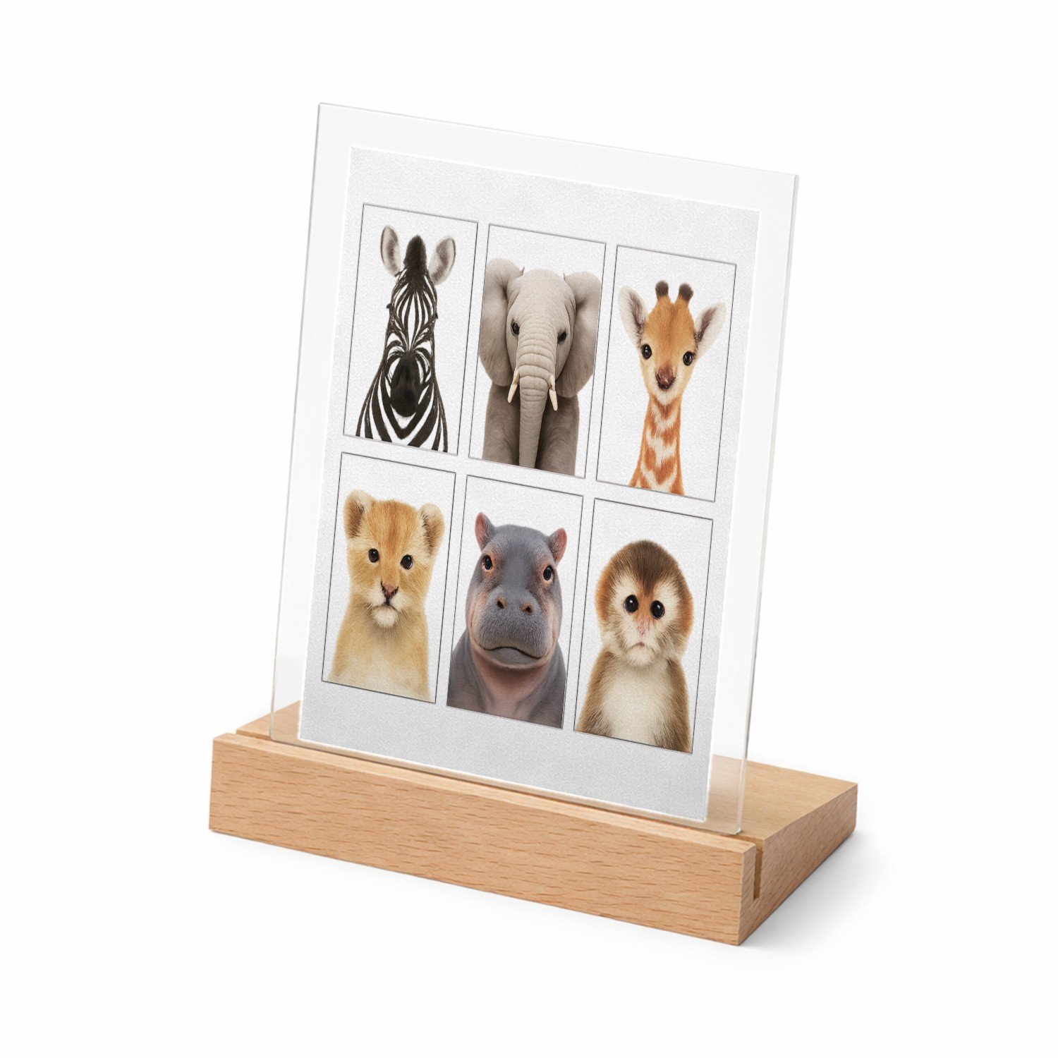 Mr Cadeautjes Glasframe met vaste tekst - design Vier rustige dierenportretten in een strak museumgrid | cadeau Wit