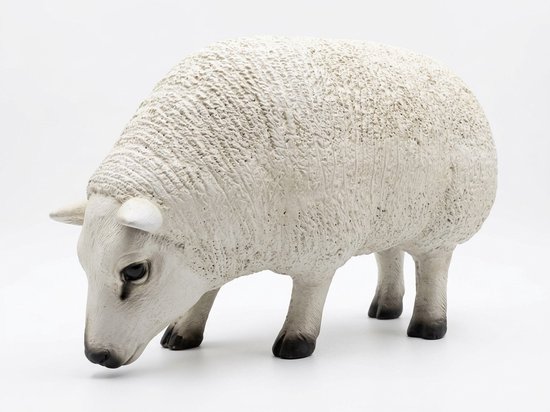 Grazend schaap tuinbeeld met crèmekleurige wollige textuur en zwarte hoeven.