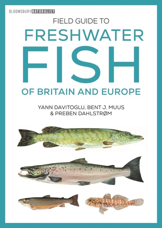 Boekomslag: Gids voor zoetwatervissen van Groot-Brittannië en Europa met illustraties van vier verschillende vissen.