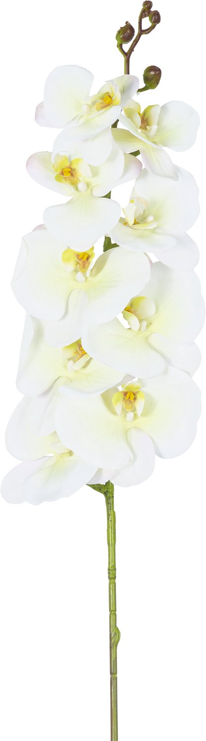 Easyplants | Kunst Orchidee Real Touch Deluxe 105 cm wit/geel | Zijde | Nepbloemen | geel | Onderhoudsvrij | Kant-en-klaar