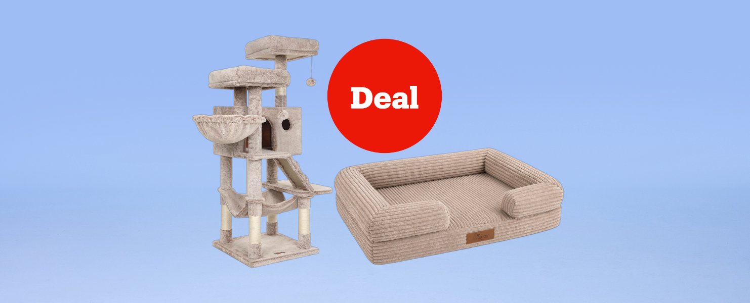 Deals op