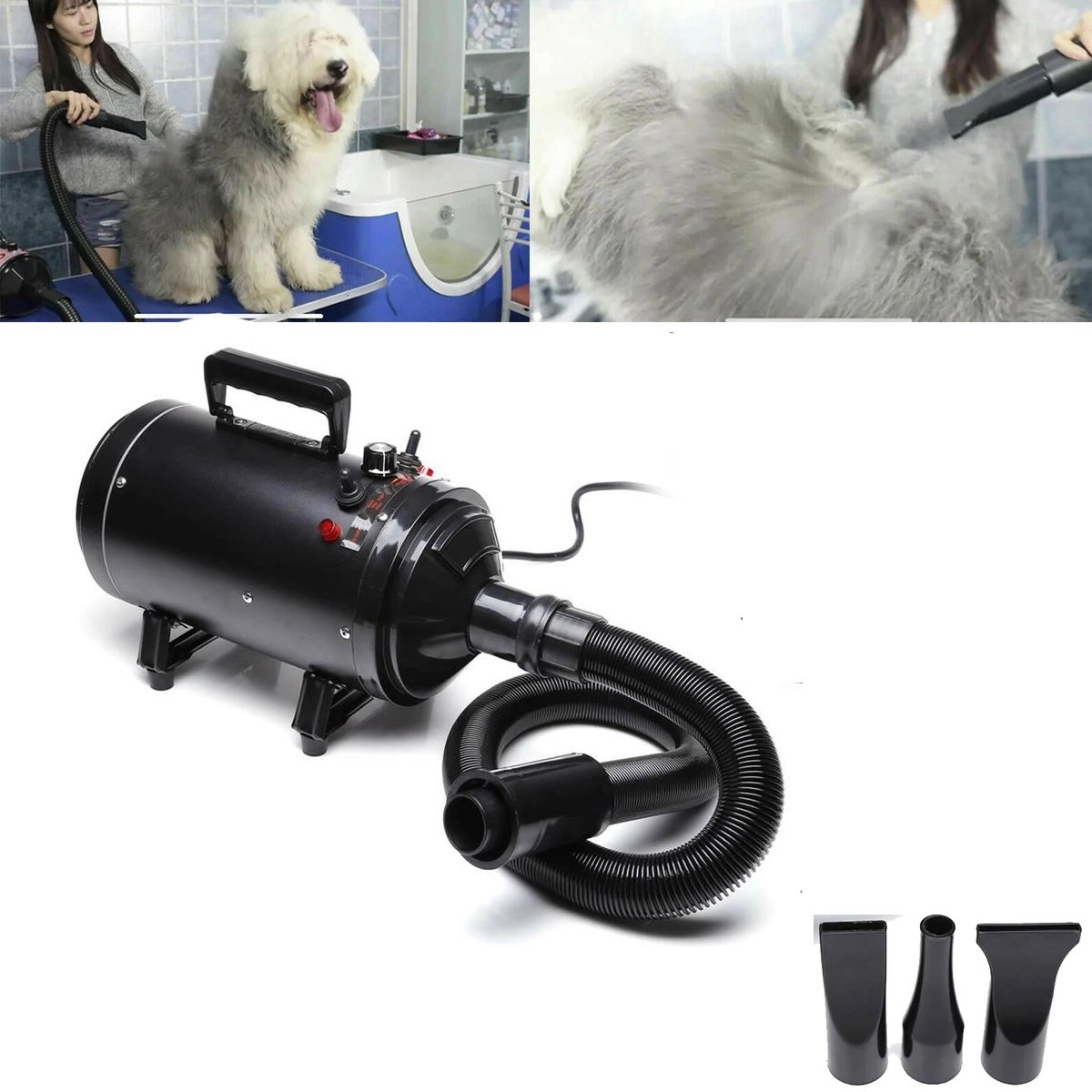 ITRONIQ Hondenföhn 2800 Watt – Professionele Waterblazer voor Honden en Katten – 2 Temperaturen – 4 Opzetstukken – Zwart