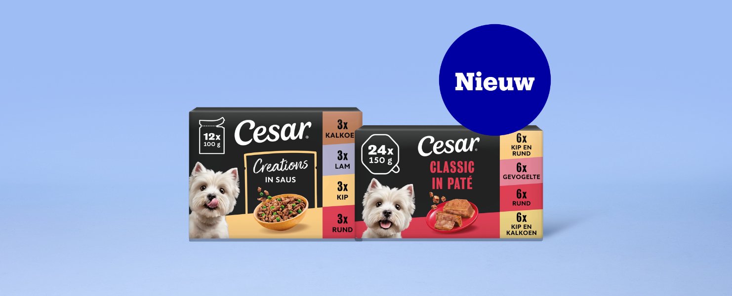 De vernieuwde Cesar
