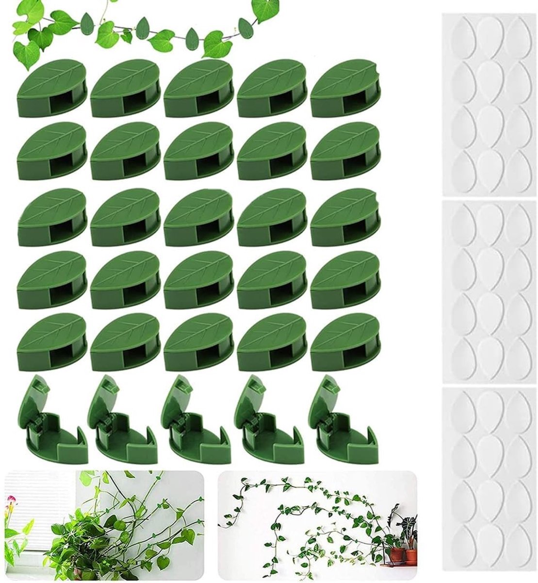 Set van 30 Plant Clips voor Klimplanten | Bladvormige Plant Houder voor Muur | Eenvoudige Bevestiging zonder Gereedschap | Ideaal voor Binnen en Buiten