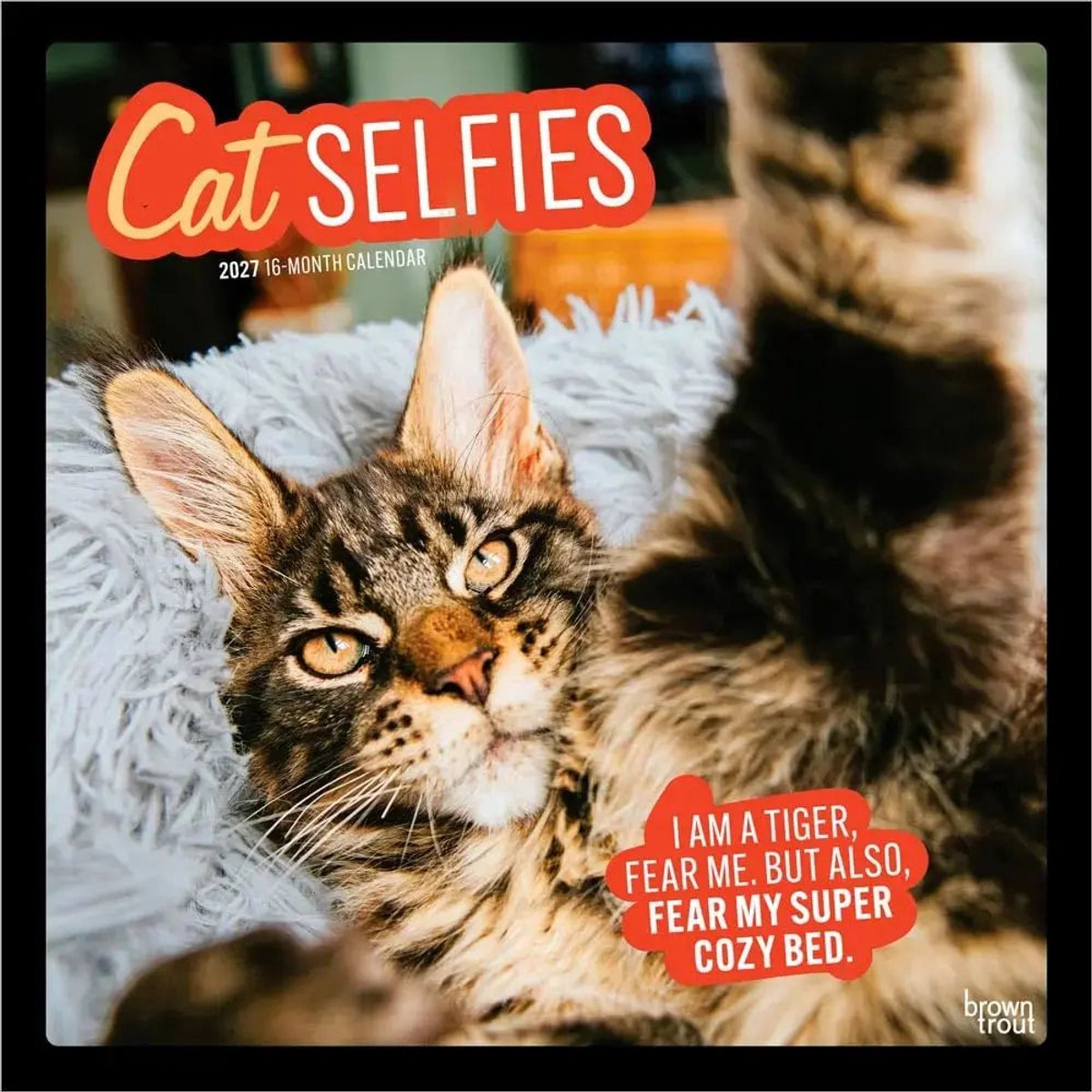 Katten Selfies Kalender 2027