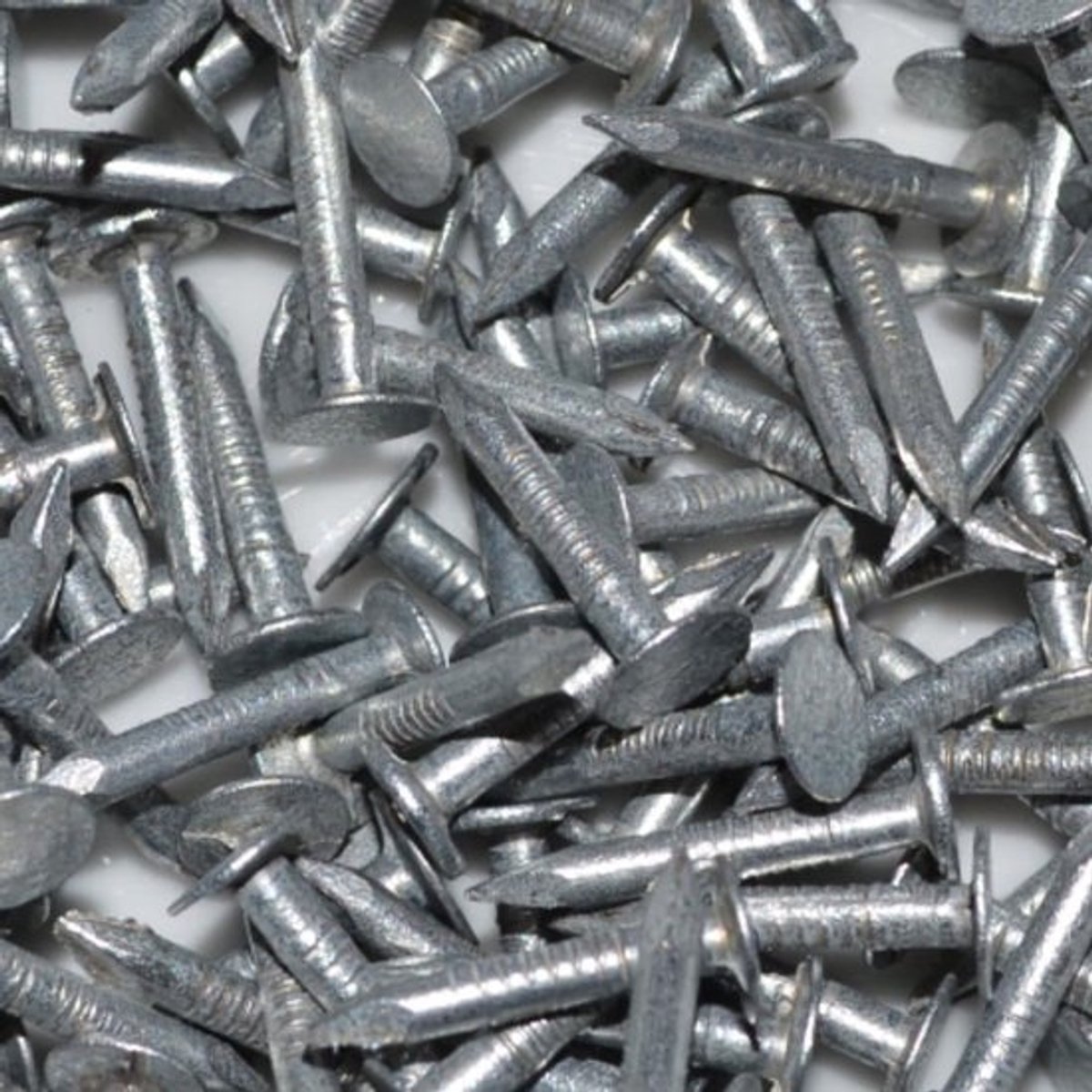 Dakbedekkingsnagels - Viltnagels - Voor het bevestigen van dakbedekking - Gegalvaniseerde afwerking - 13 mm