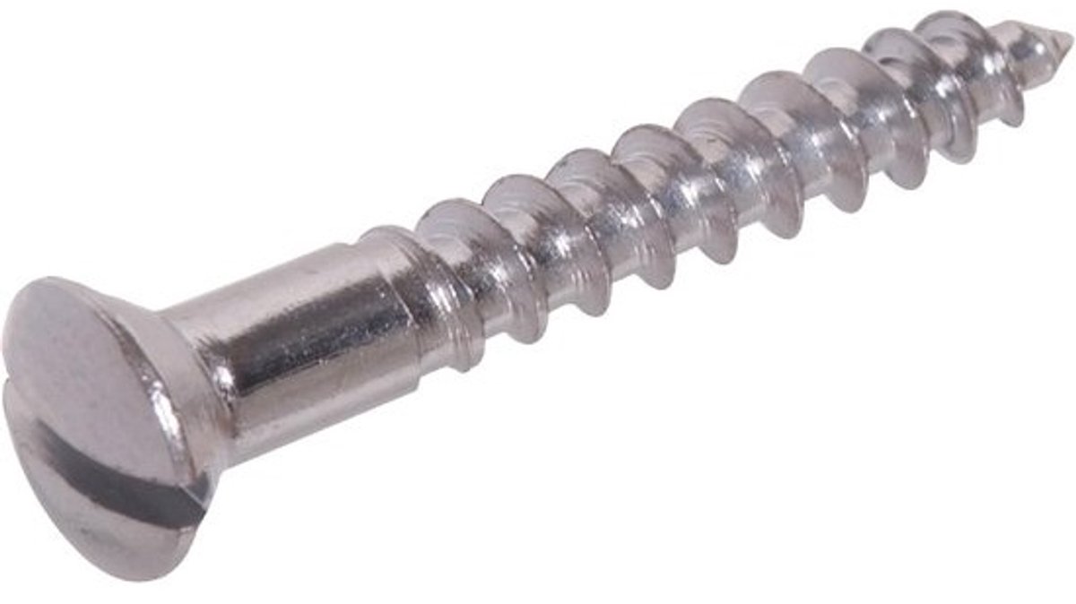 Houtschroef - Bevestigingsmateriaal - Voor houtverbindingen - Zelfsnijdend - 1 inch - Zink