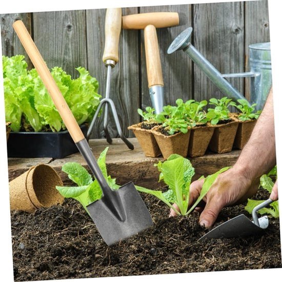Houten schoffelsteel - Tuingreepvervanger - Tuinonderhoud - Ergonomisch ontwerp - 39cm lengte - Natuurlijk hout — afbeelding 2