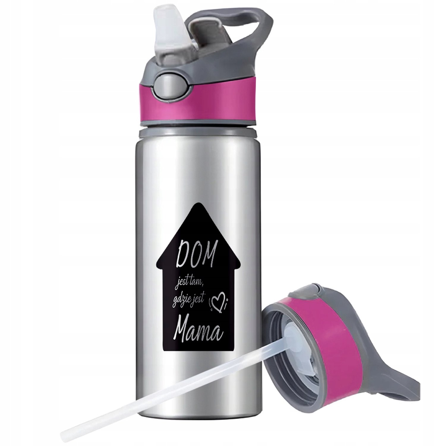 Aluminium Sport Bidon 650ml met Rietje en Handvat - Zilver
