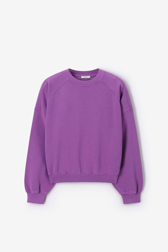 Paarse Sweater