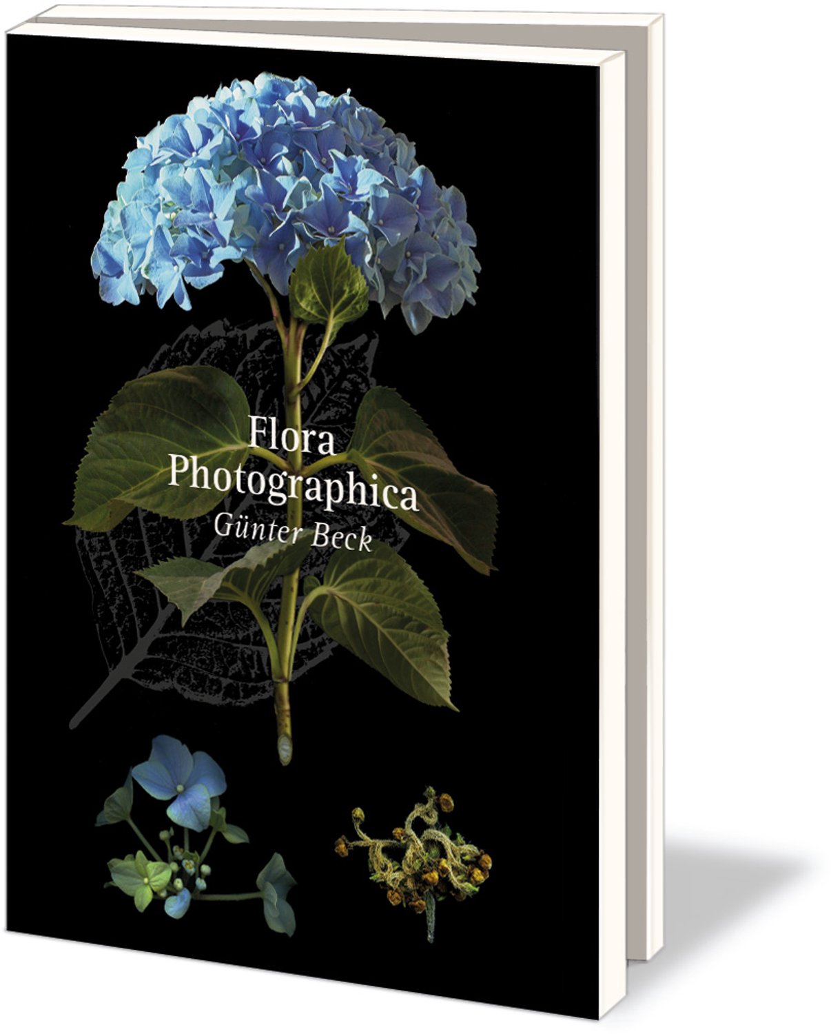 Kaartenmapje met env, groot: Flora Photographica, Günter Beck, Hortus Botanicus - 2 x 5 motieven