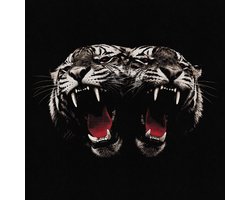 Dead Company