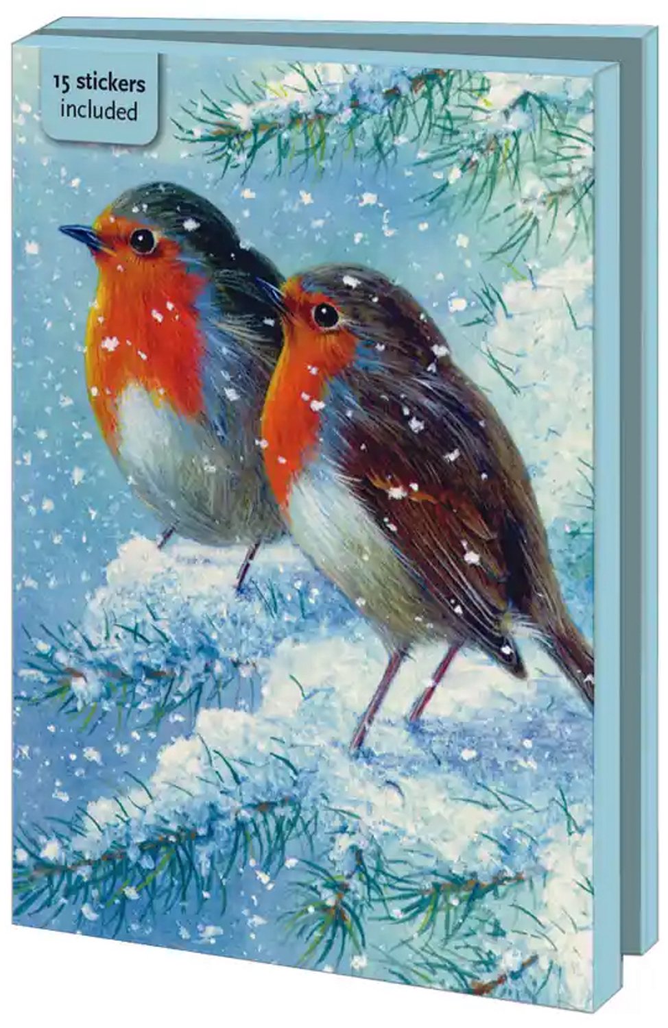 Kerstkaarten 10x - Kaartenmapje met env, groot: Robin in the winter, Brian Rushton - 2x5 motieven