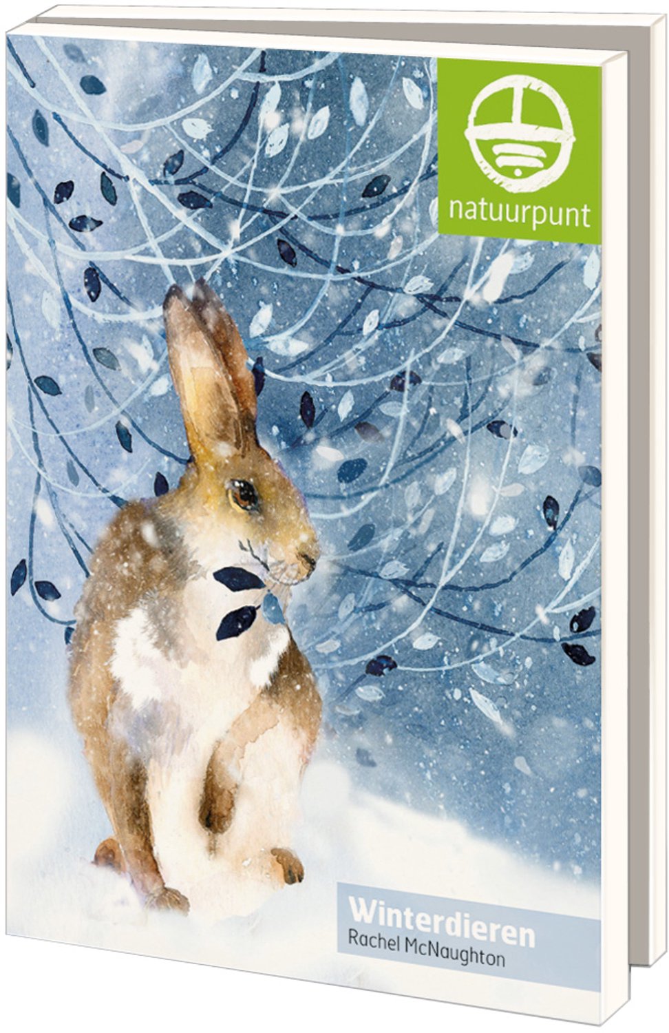 Kerstkaarten 10x - Kaartenmapje met env, groot: Winterdieren, Rachel McNaughton, Natuurpunt - 2x5 motieven