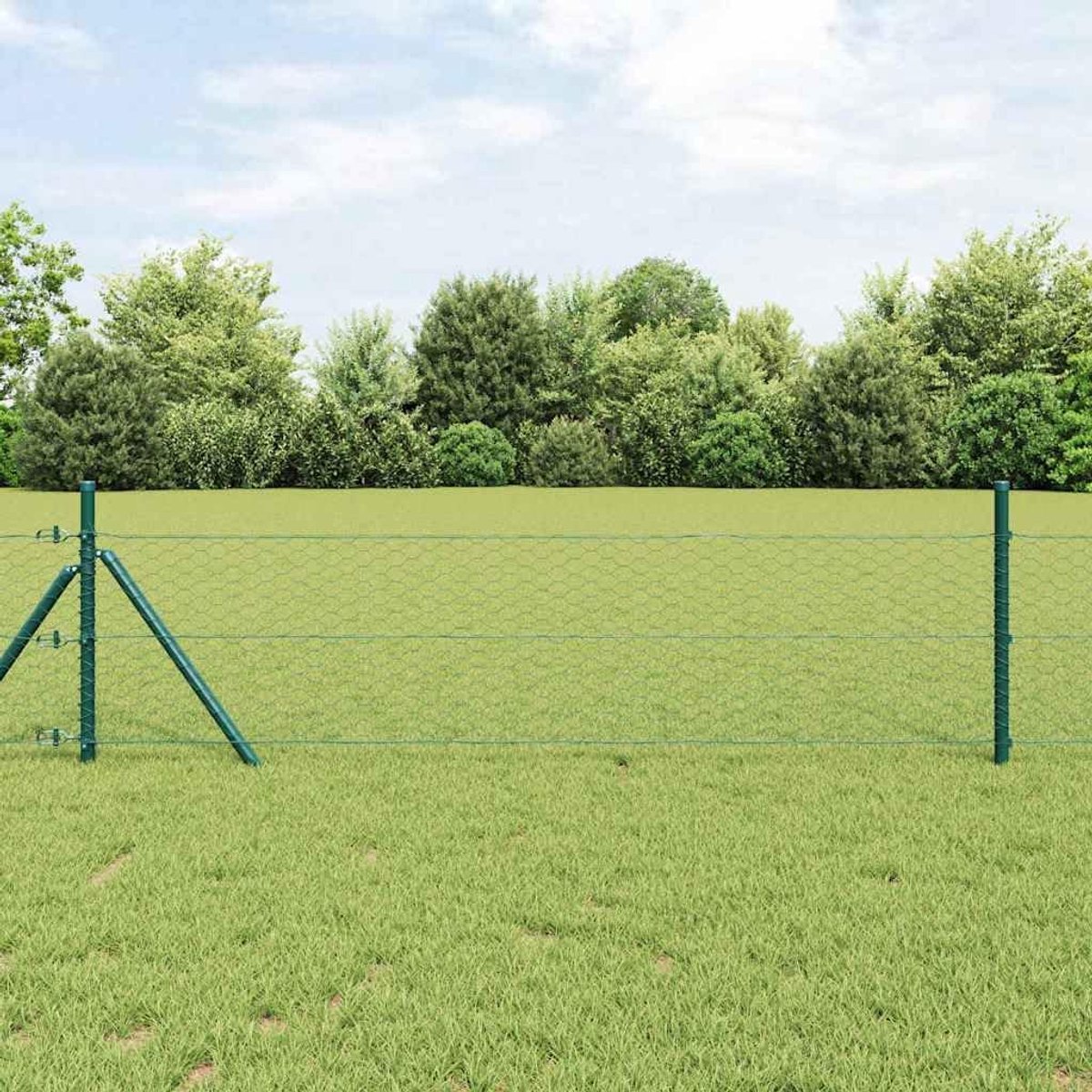 Draadomheining 50 x 0,8 m PVC-gecoat staaldraad tuinhek gaasdraad groen