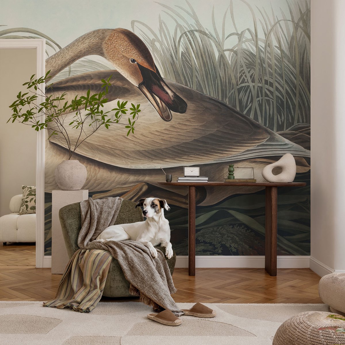 Coloray Vliesbehang - Bruin Snellijm Behang - 104x70 cm - Natuurlijke Vogel Fotobehang Vlies - Woonkamer behang Dieren - Muurschildering - Hal behang