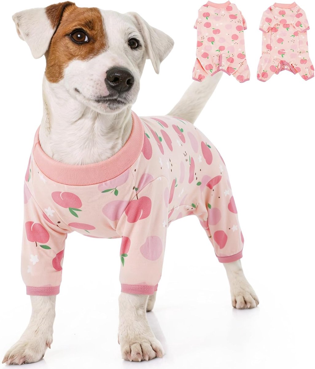 Hondenherstelpak na operatie, onesie voor kleine honden, mannelijk