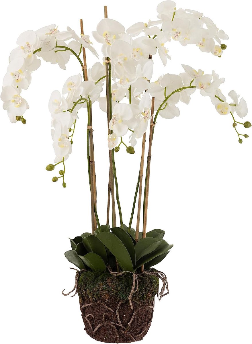 Orchidee In Aarde Plastiek Wit/Groen Extra Large