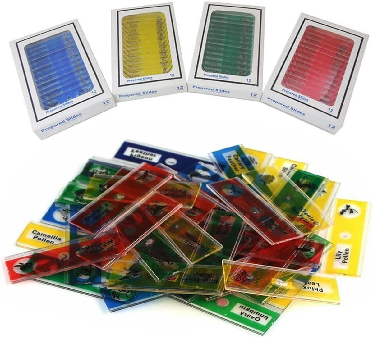 48 stks Microscoop Slides, Biologie Plastic Voorbereide Microscoop Slides, Mgoodoo Lab Specimens Draagbare Educatieve Microscoop Slides (4 Dozen)