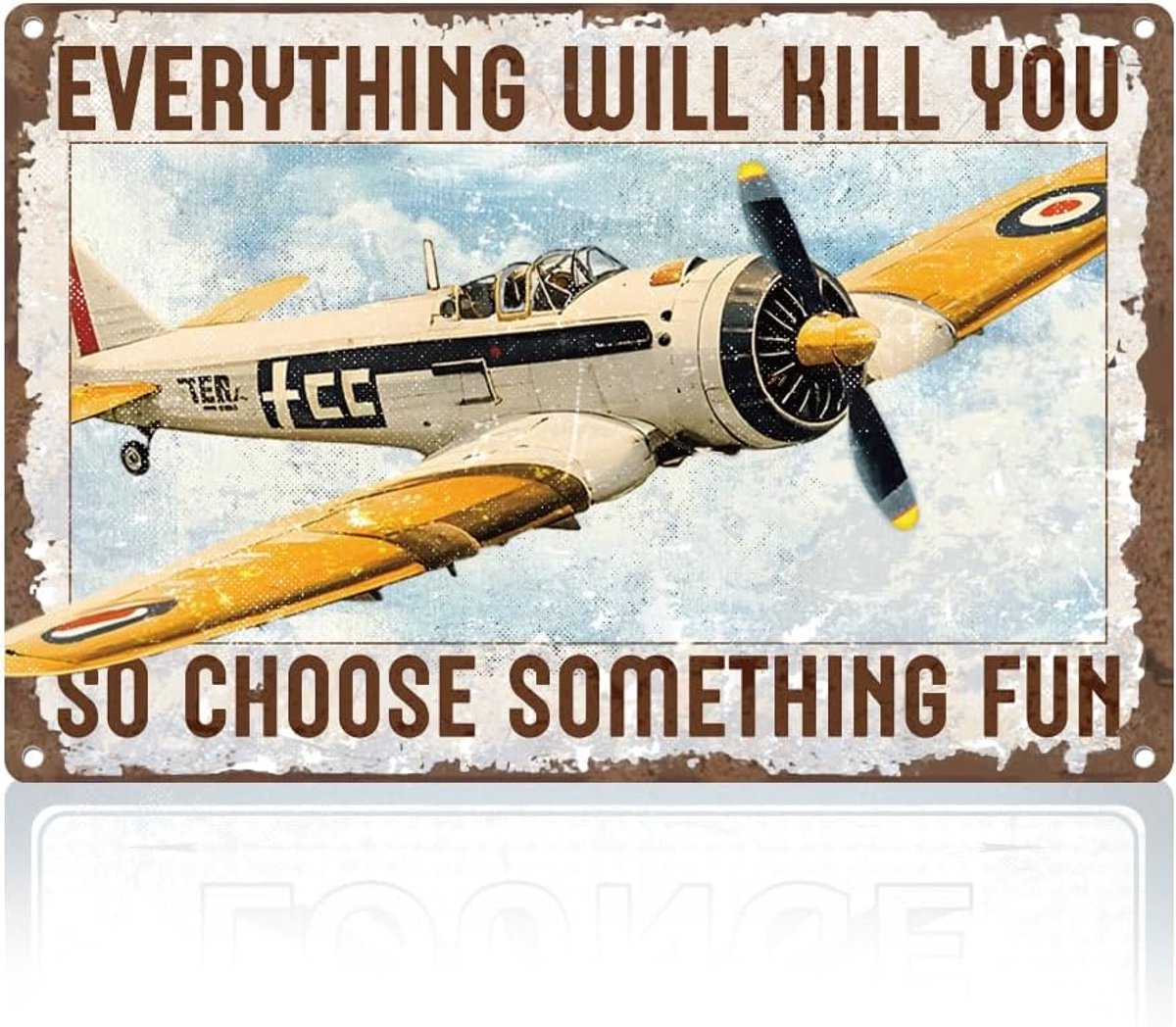 plaatbord met vliegtuig, muurkunst, decoratie, alles wil je dus kiezen wat grappig cadeau voor luchtvaartliefhebbers, militaire fans, vintage poster, thuis, kamer, mannenhol, bar