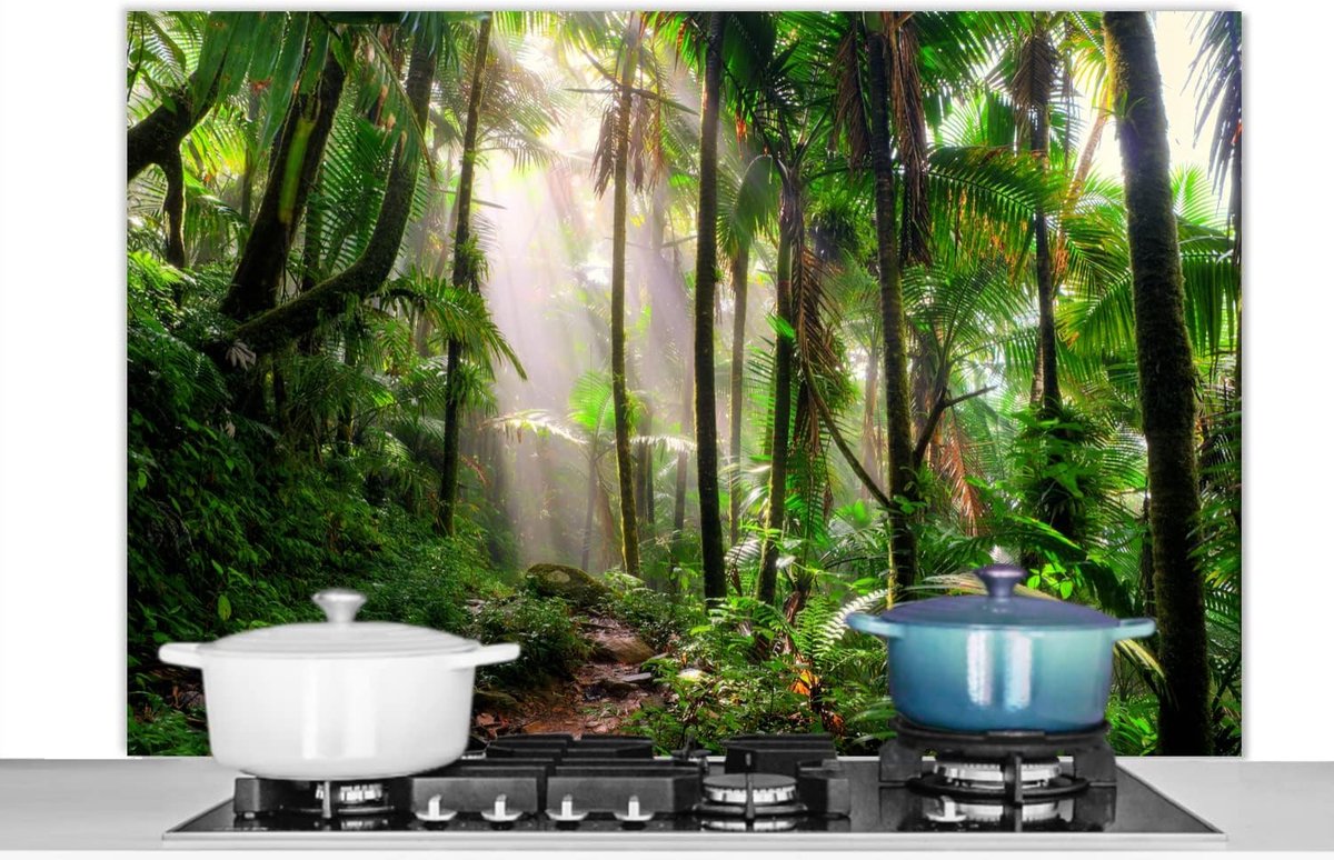 Spatscherm Keuken - 120x80 cm - Jungle - Palmboom - Pad - Jongens - Meisjes - Kids