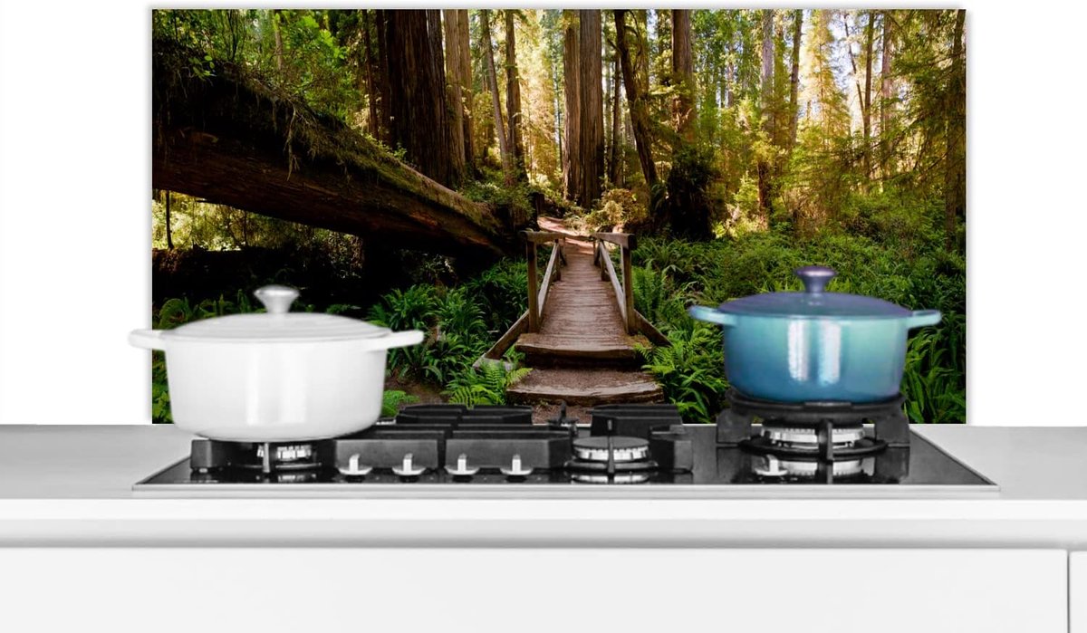 Spatscherm Keuken - 100x50 cm - Jungle - Natuur - Trap - Bomen