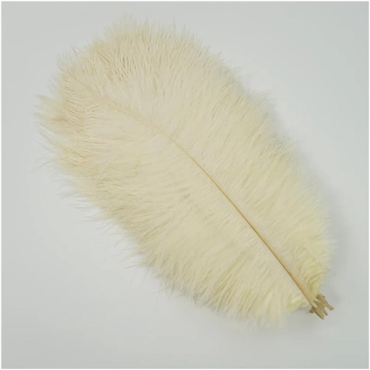 Veren, 15-20 cm, zachte struisvogelveren, struisvogelveer pluim, vogelveren, knutselveren voor bruiloft, Halloween, kerstdecoratie, tafeldecoratie, beige, 30 stuks