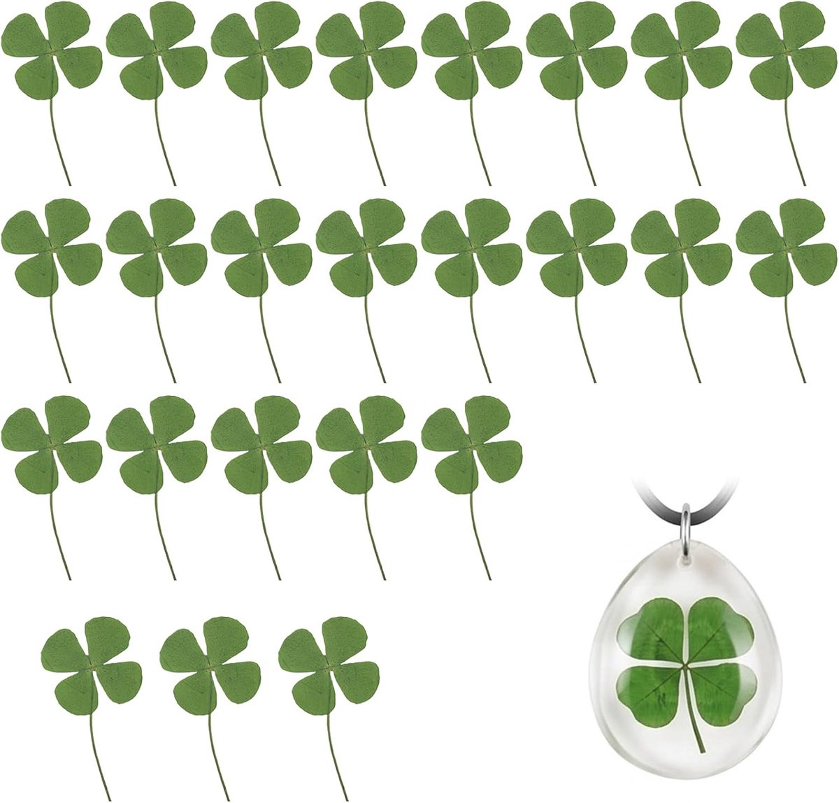 Gedroogde klavertje vier geperst, natuurlijke groene bloemen voor doe-het-zelf knutselen, sieraden maken, kunsthars en bladwijzers
