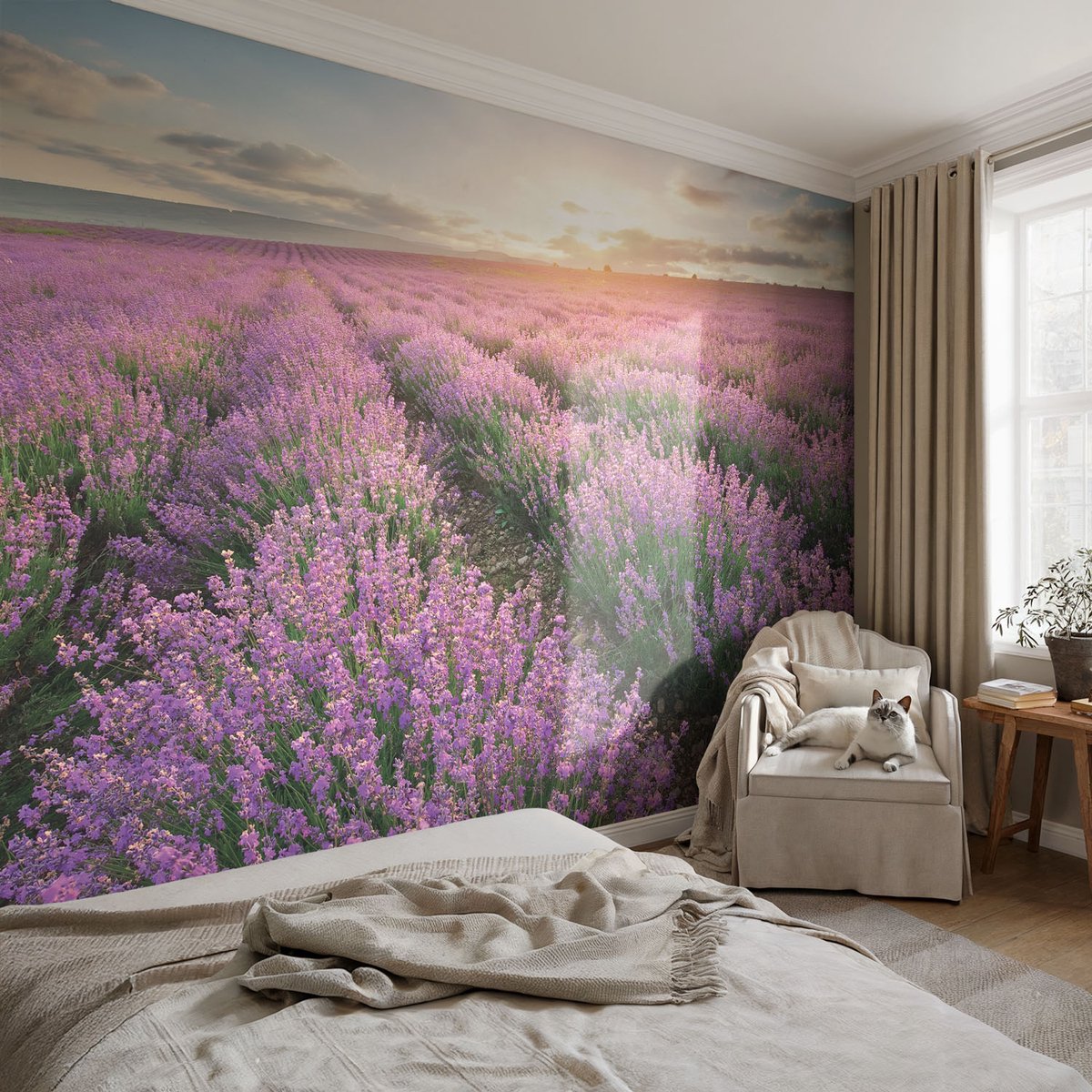 Coloray Vliesbehang - Paars Snellijm Behang - 104x70 cm - Lavendelvelden Fotobehang Vlies - Woonkamer behang Landschappen - Muurschildering - Hal behang