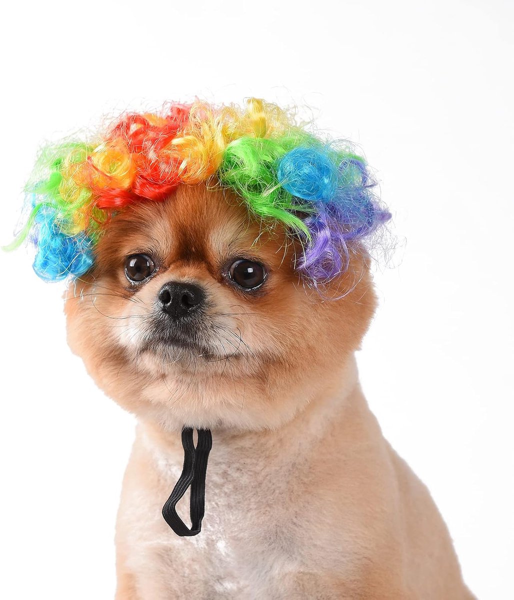 Hondenpruik, kattenrollenspelpruik, Halloween, Kerstmis, feesten, feest voor huisdieren, kleine, middelgrote en grote hondenpruik (gekleurde clowns)